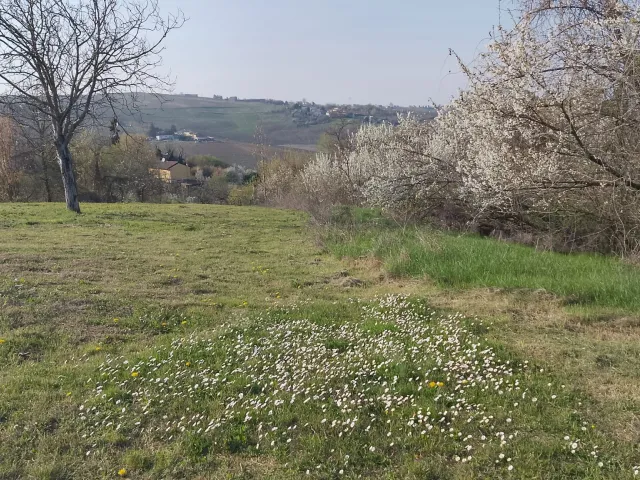 Terreno edificabile, Colline piacentine