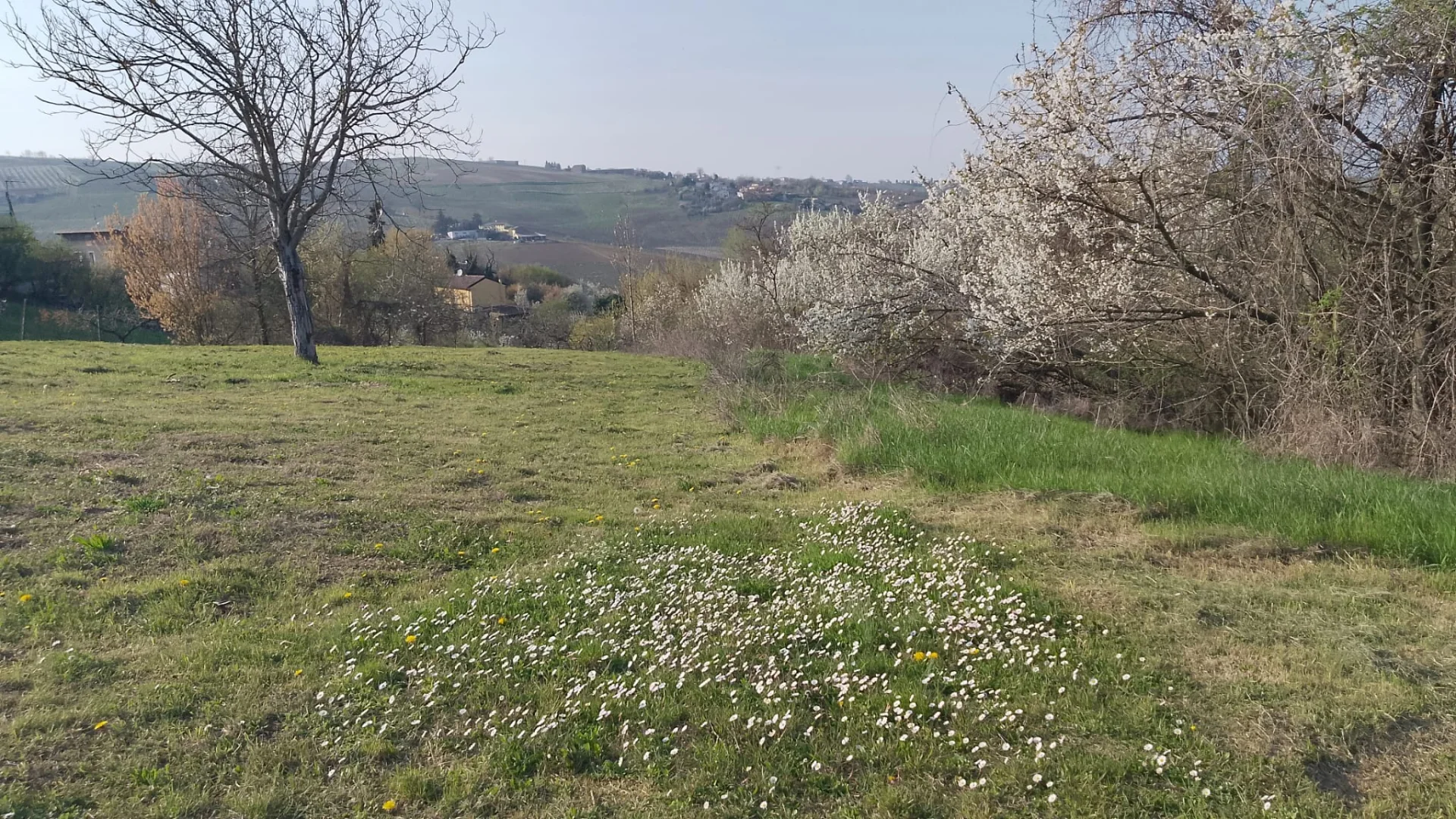 Terreno edificabile, Colline piacentine