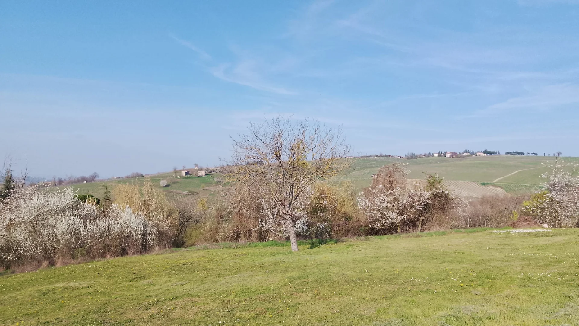 Terreno edificabile, Colline piacentine