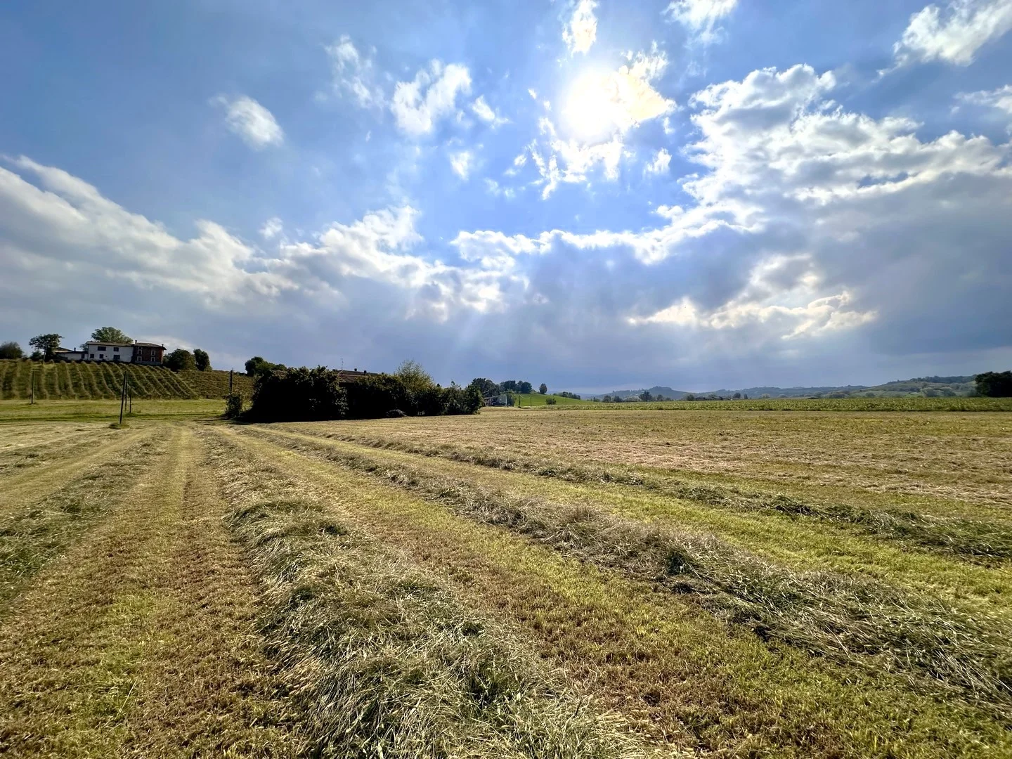 Casa indipendente con terrazza panoramica, deposito e terreno nelle colline della Val Tidone