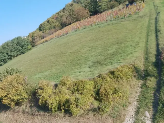 Appartamento panoramico