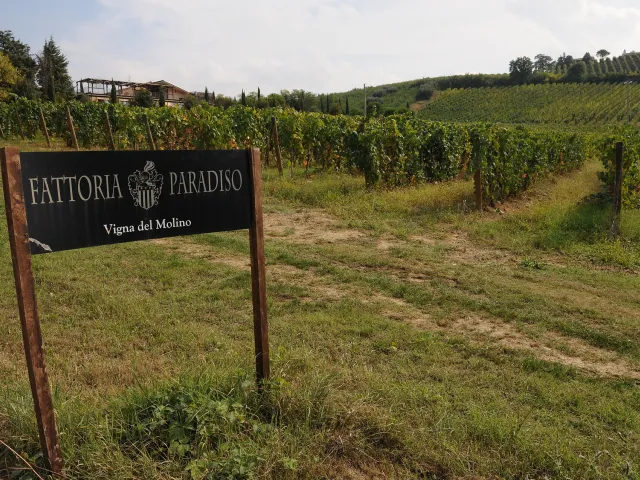 Le colline piacentine: la casa in campagna a un passo dalla città