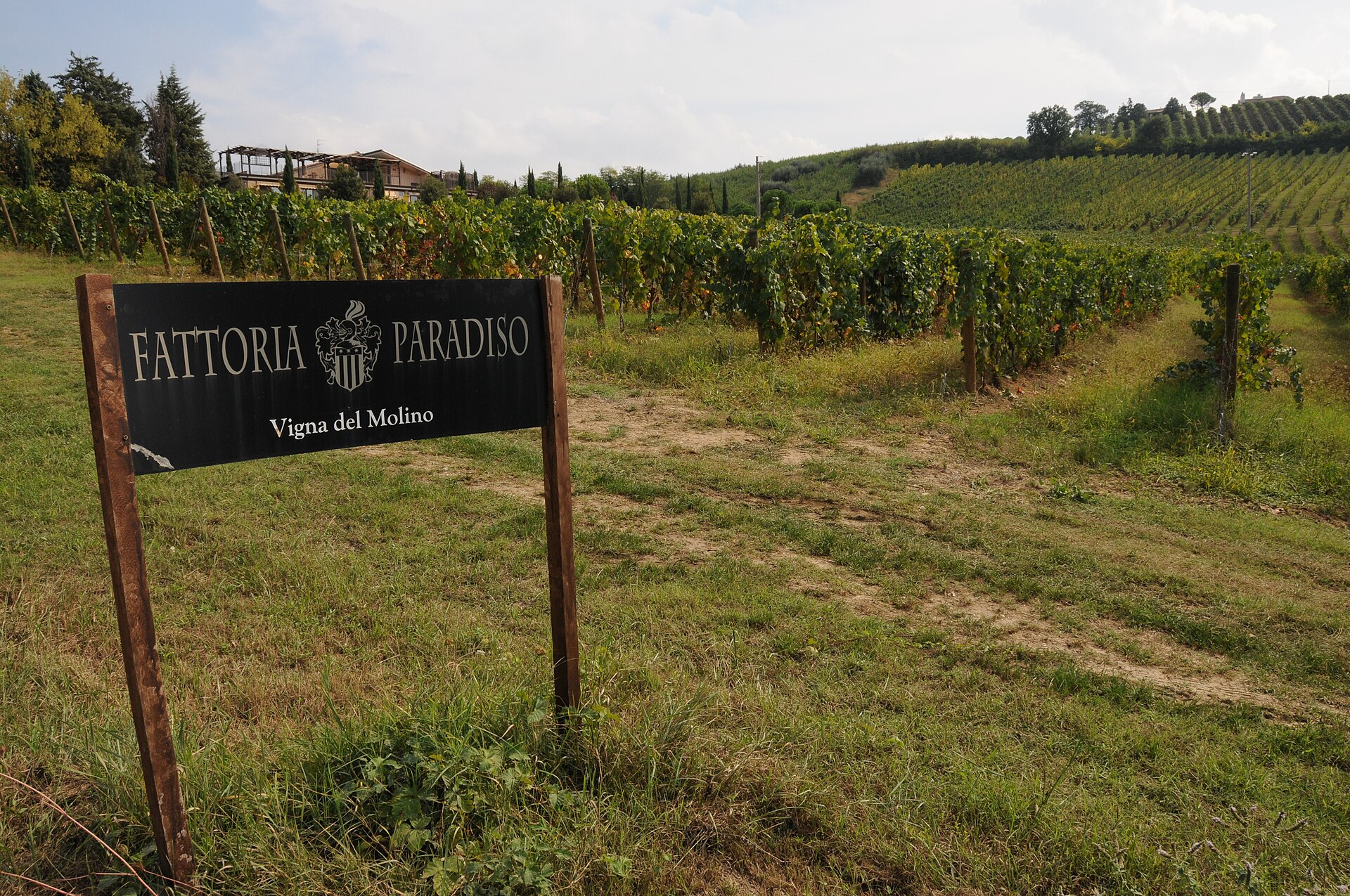 Le colline piacentine: la casa in campagna a un passo dalla città